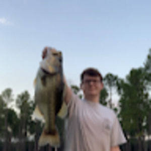 Meet your Posher, Logan